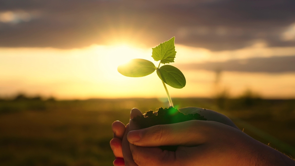 La demande « Green », vers une (r)évolution des pratiques d’attractivité ?